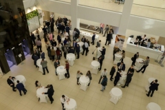 img_6687-1024x681-1-768x511